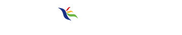 菜鳥(niǎo)先飛