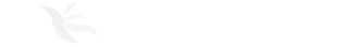菜鳥先飛
